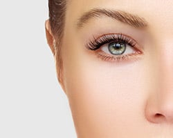 Lash and Brow Treatments The Spa Therapy Room Chelmsford